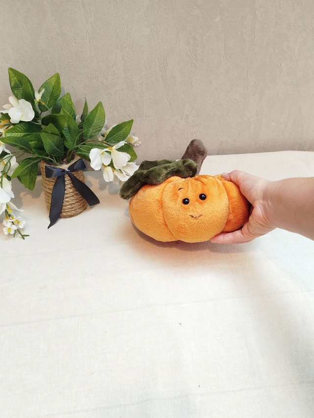 Coussin citrouille décoratif 20 cm
