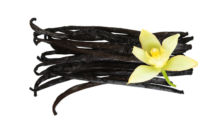 Crème Glacée Vanille - barquette de 500ml de 300g