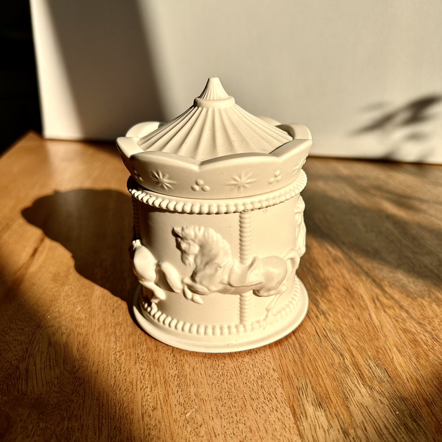 Moyenne boîte Carrousel 