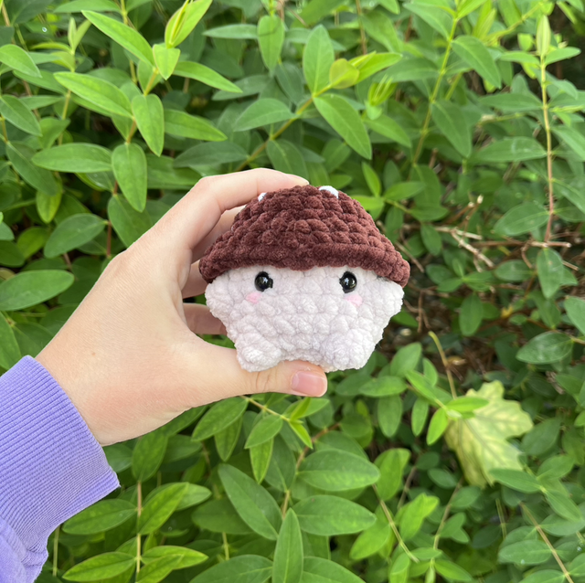 Champignon d’automne