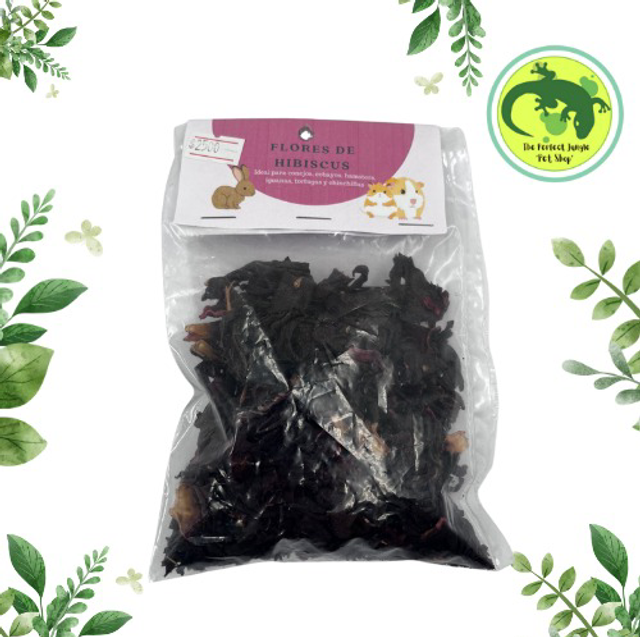 Flores Hibiscus