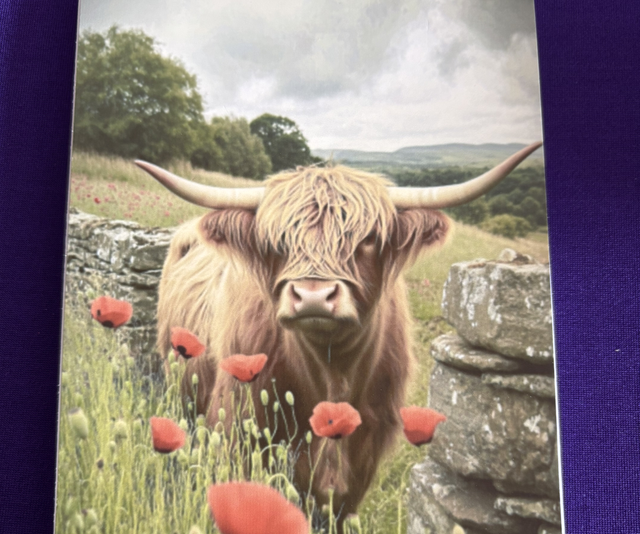 Plain Note Pad Cow Highland White