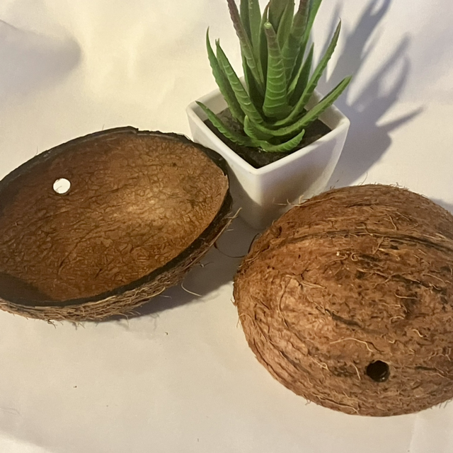 Natural Coconut Clean-Up Crew Hide - Perfect for Isopods