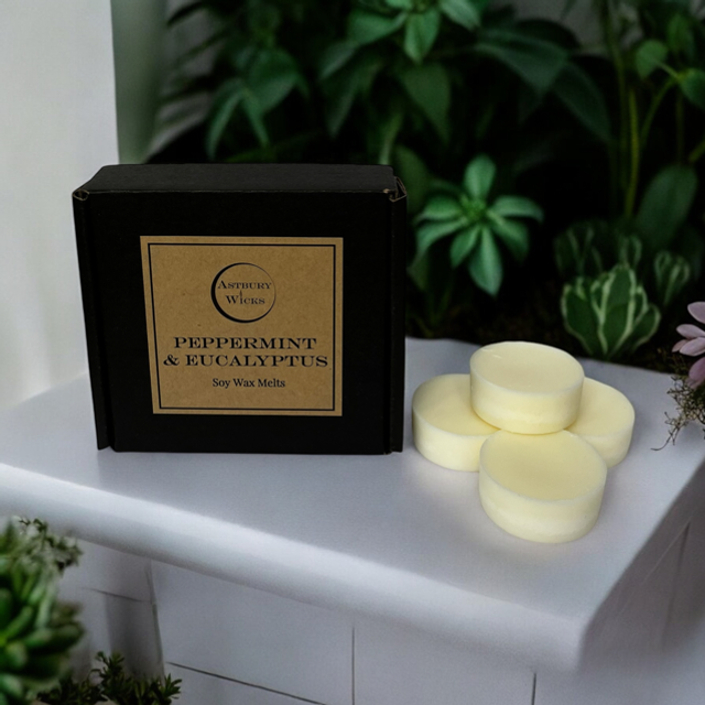 Peppermint &amp; Eucalyptus Soy Wax Melts ~ 80g