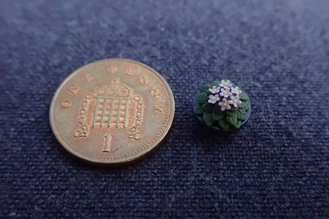 African Violet (1/24th scale)