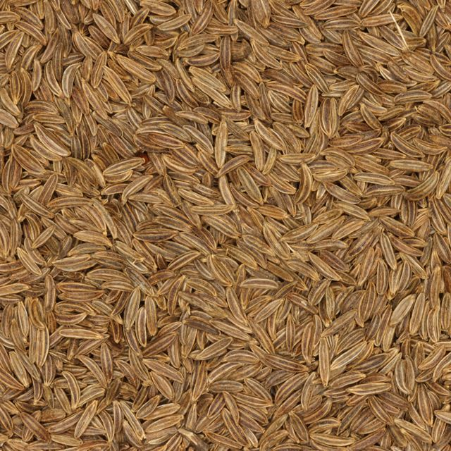 Karwijzaad (Caraway seeds) (Carum carvi) - BIO