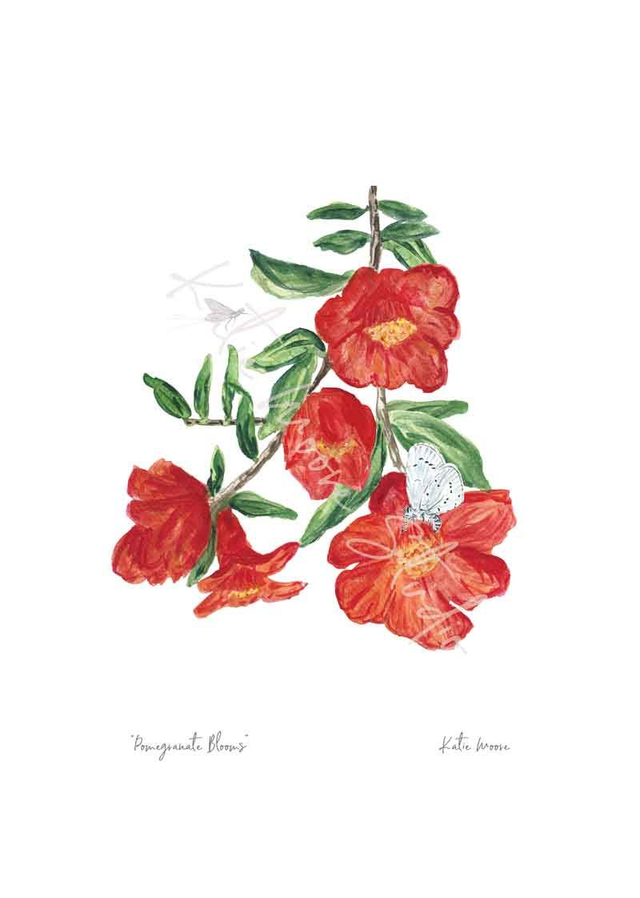 Pomegranate Blooms