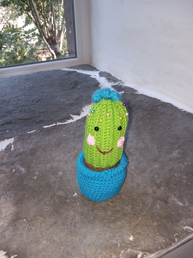 Cactus porte épingles long