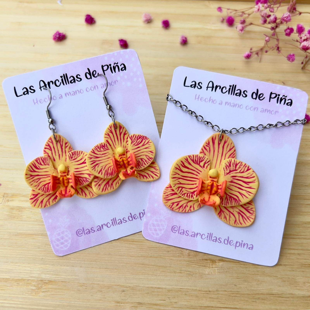 Orquidea Amarilla y Rosa