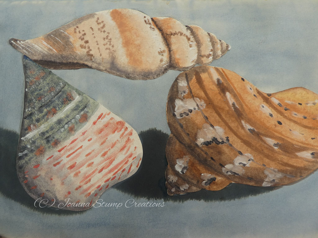 Open Edition Fine art Print "Shell Study 5"
