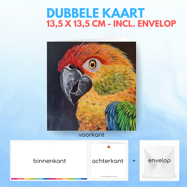 Papegaai | Dubbele kaart incl. envelop