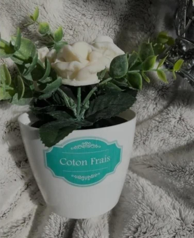 Mosco fleur coton