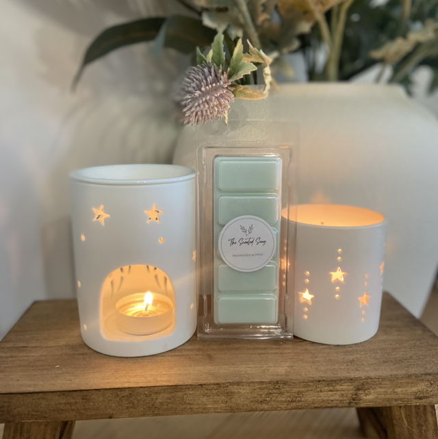 Frosted Eucalyptus  - Wax Melt Snap Bar