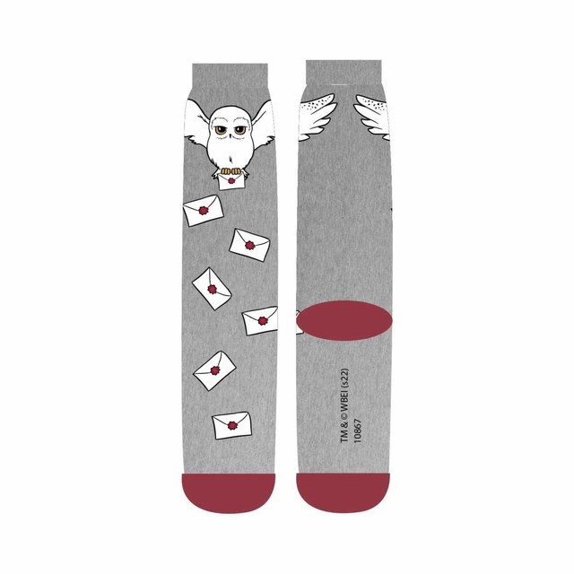 Calze - Harry Potter – Hogwarts Letter