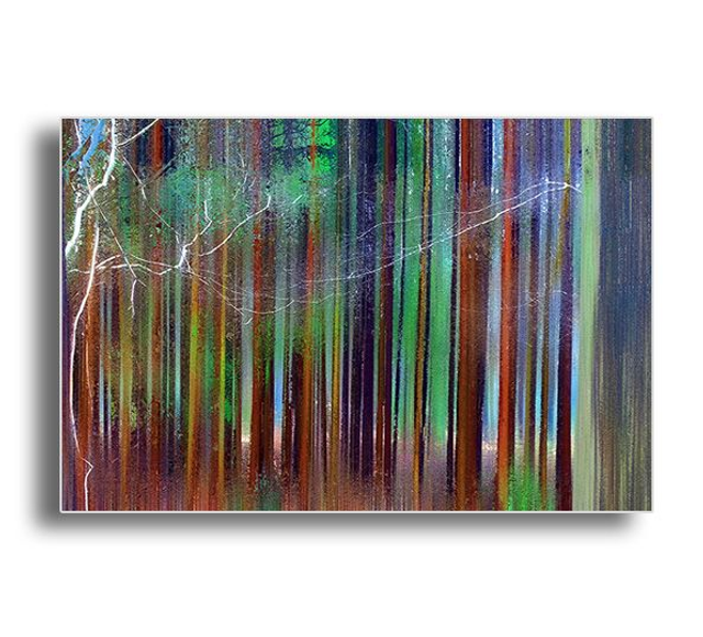 02 Nature - Fragile Woods, 2018.