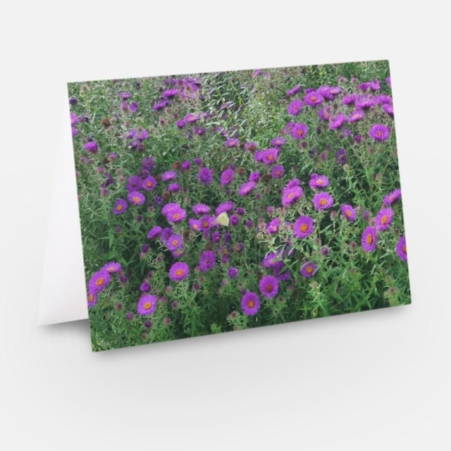 Purple aster flowers and butterfly greeting card