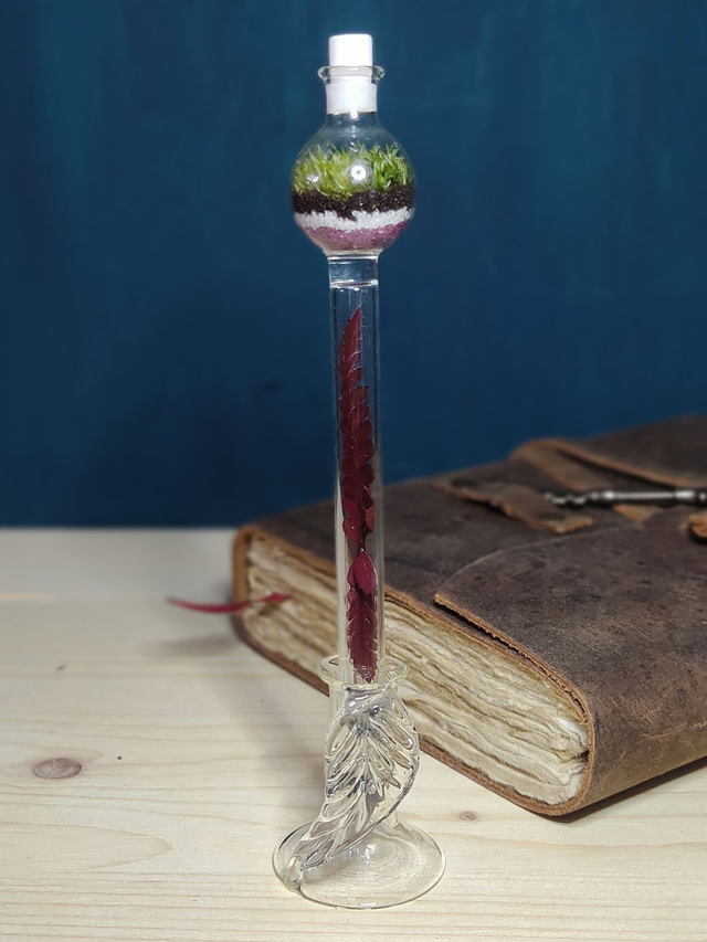 Crayon Éternel Terrarium