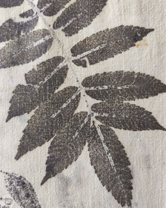 Petit Kakémono * Sumac Eucalyptus *