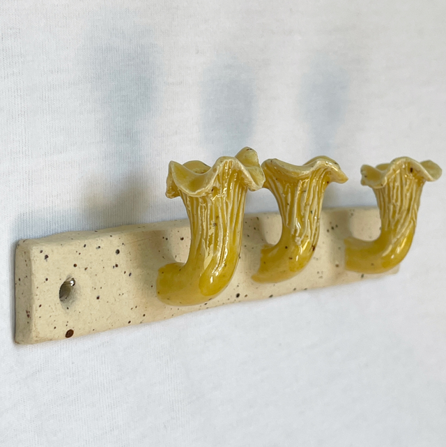 Hook rail, Chanterelles