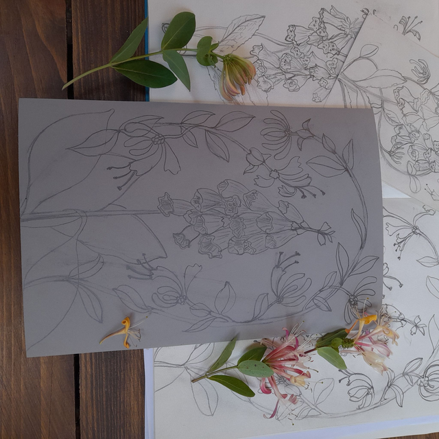 Honesuckle & Foxglove