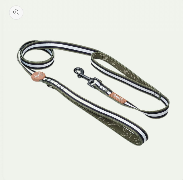 Charlie & Co Dual Handle Lead - Barky Khaki