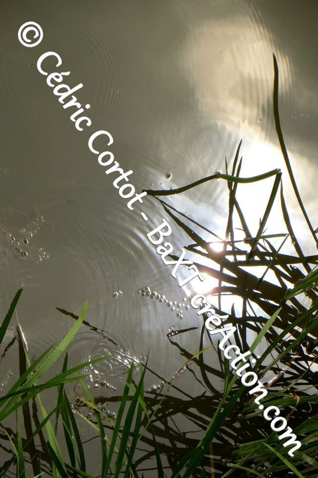 Impression sur alu dibond - Reflets et cours d'Eau (ref 5453)
