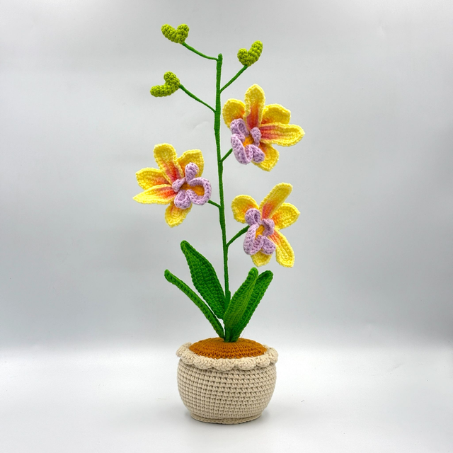 Pot d&#039;orchidées Dendrobium (3 fleurs)