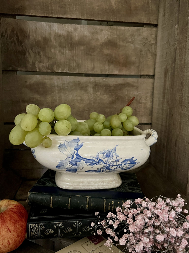 PETUNIA - Bas de soupière Modèle Pétunia de la manufacture Belge BFK