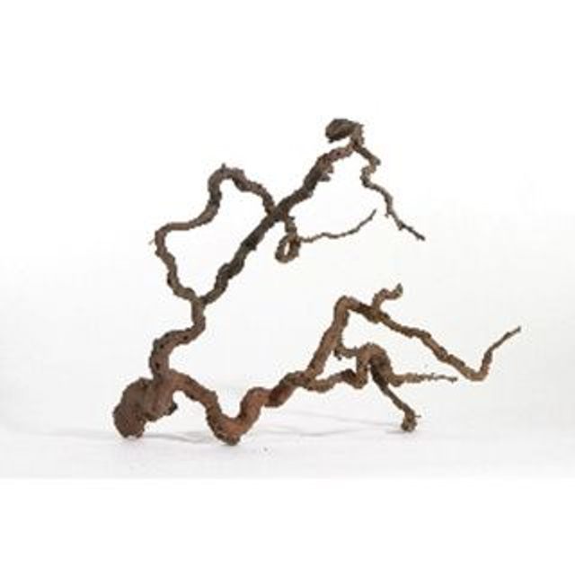 WINE WOOD L 80CM-100CM (H031) *TERRARIUM USE*