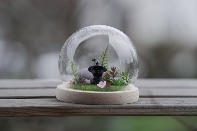 DIORAMA - Čarokočička