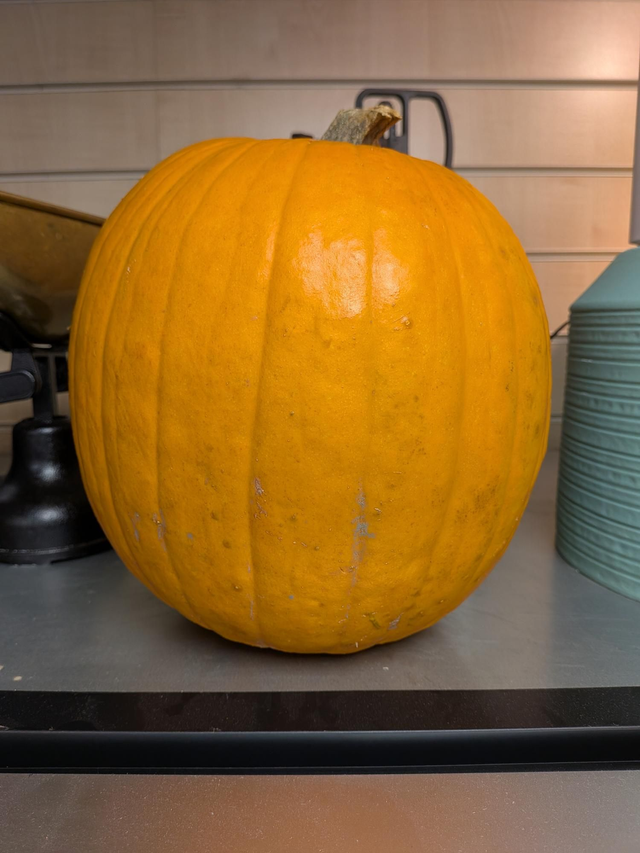 Pumpkin large 