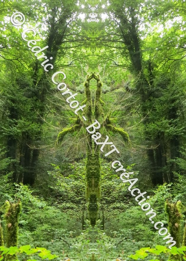 Carte postale - Entre réel et irréel (Ref IMG_1916-4)