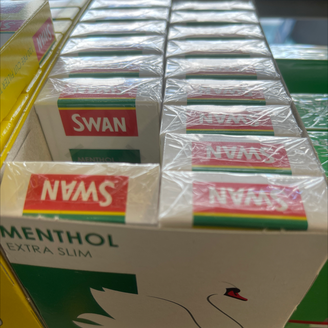 Swan 120 extra slip filters