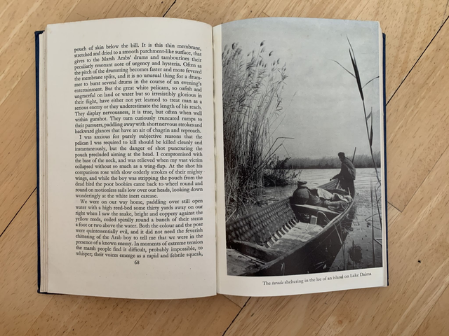 A Reed Shaken By The Wind Gavin Maxwell - 1957