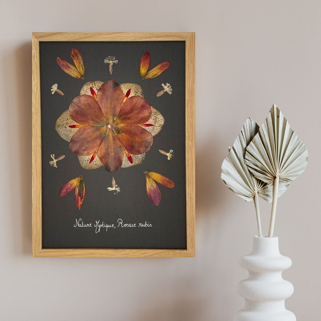 Herbier Rosace Rubis