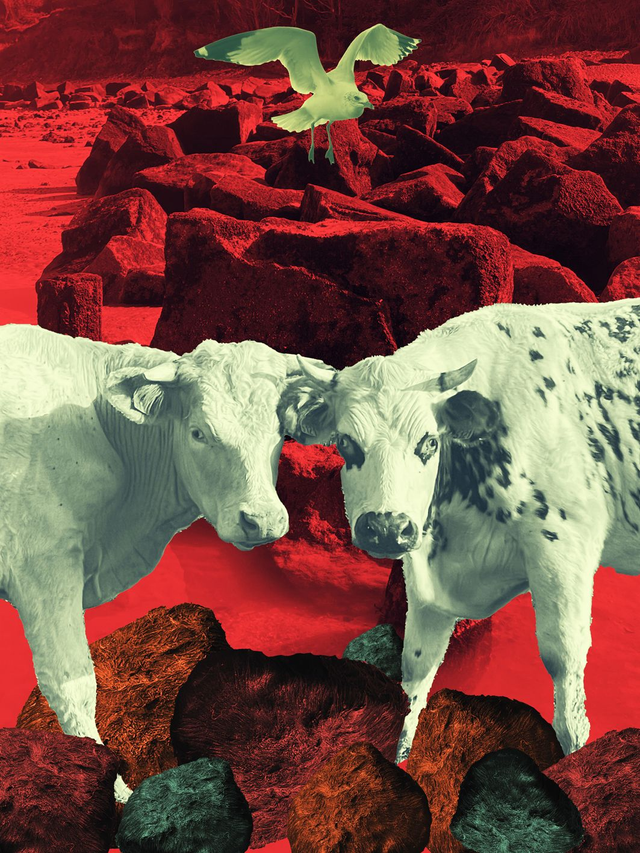 Conversation en silence