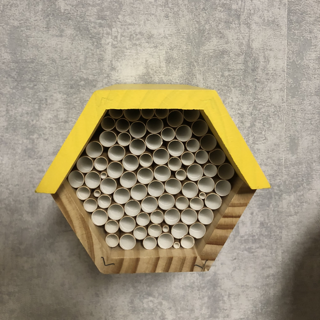 Wildbienen Nisthilfe