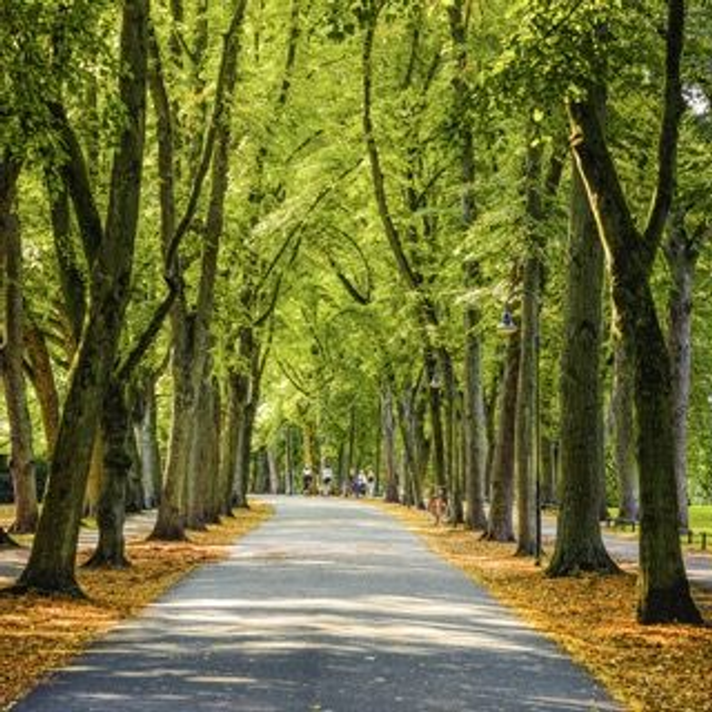 Promenade im Herbst