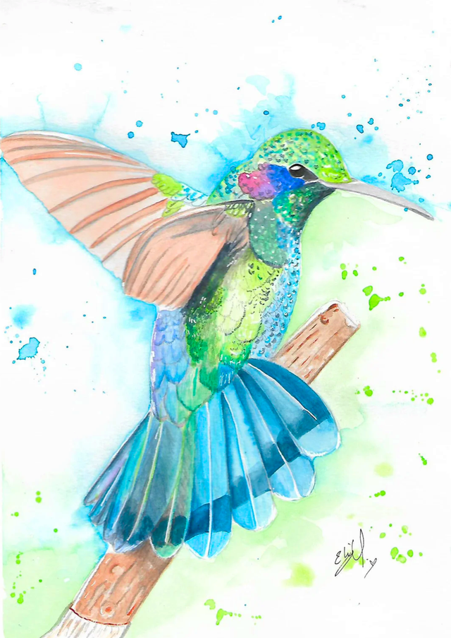 Lámina impresa colibrí