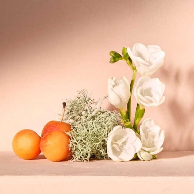 Dark Plum &amp; Sandalwood 