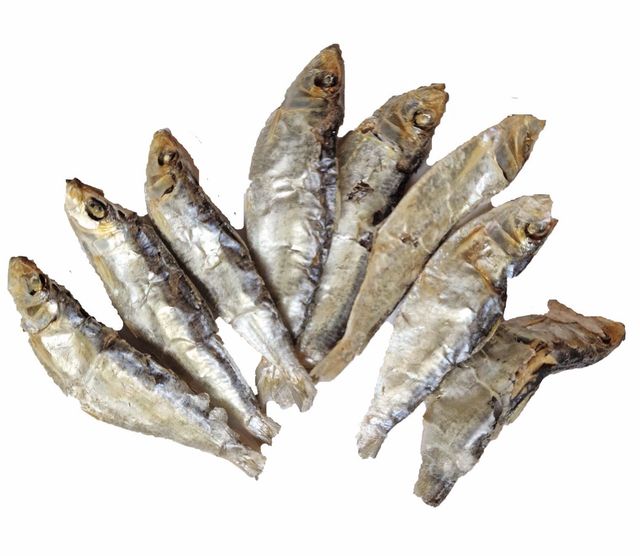 Sprats Normal or Giant