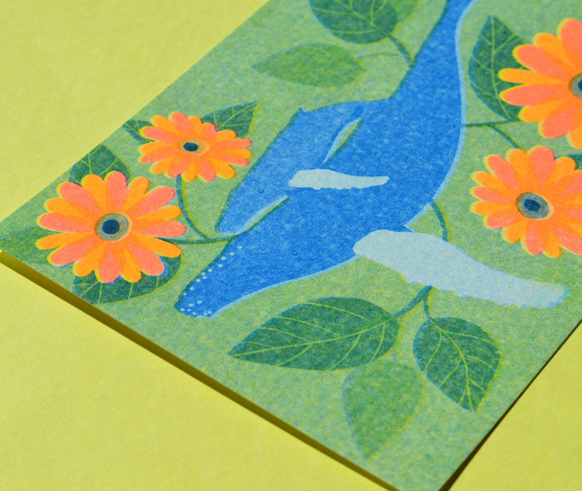 *last chance* Carte postale RISO cétacés & fleurs : les baleines à bosse aux germinis