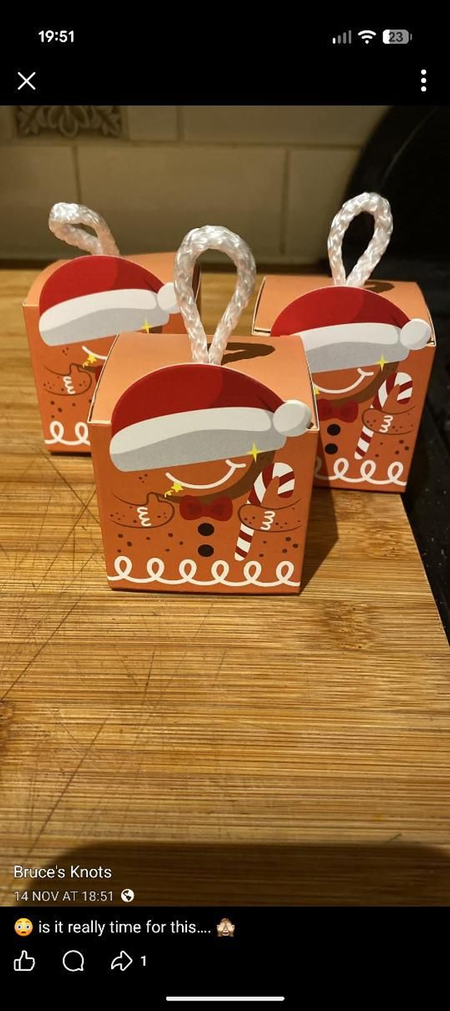 Christmas Duck Bites box