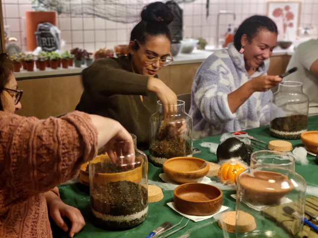 Terrarium Workshops 25th January 12-2pm