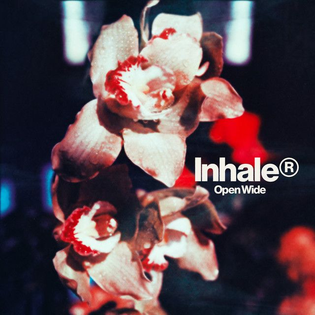 Inhaler - Open Wide LP (Indies Exclusive Pink Vinyl with Alternate Artwork)
