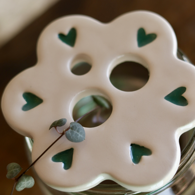 Disque de bouturage 🌱