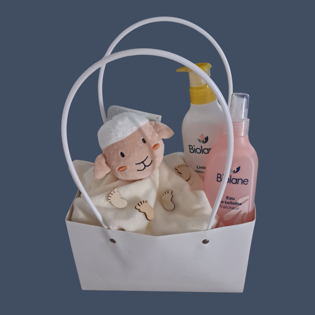 Sac de couches avec des produits Biolane et doudou