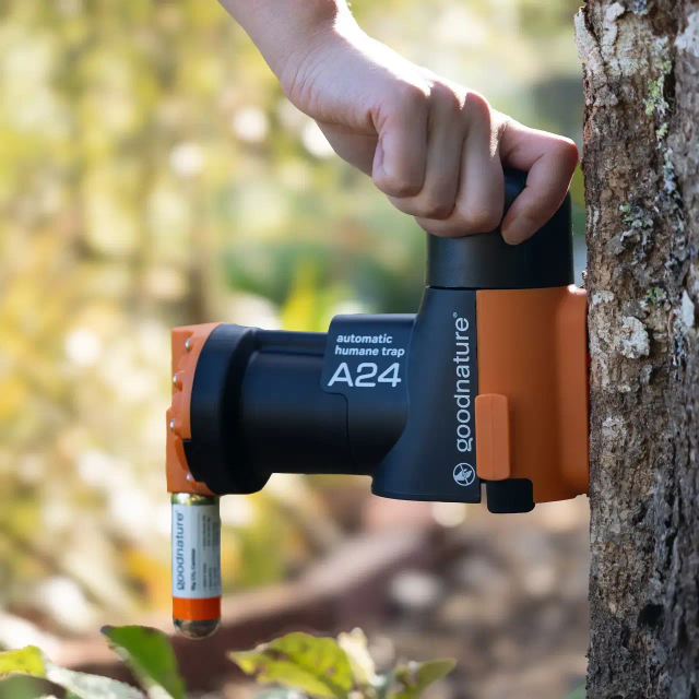 Goodnature A24 Kit de démarrage