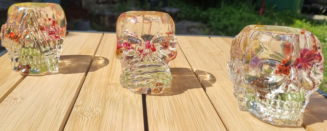 Têtes de morts avec des fleurs 