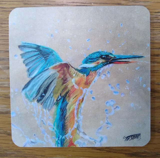 Make a Splash prints & merch